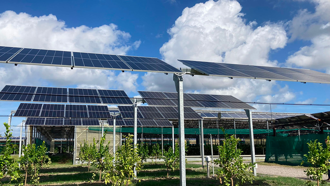 impianto agrivoltaico